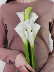 Калла — изображение 3
