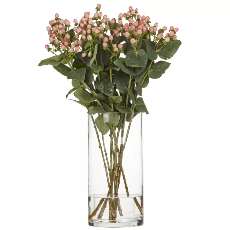 hypericum_coco_casino_
